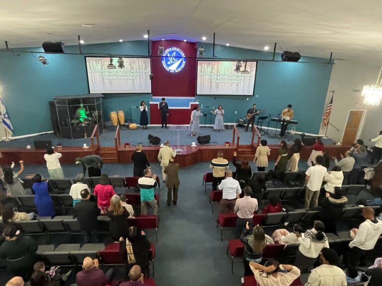 Galería Concilio CCS