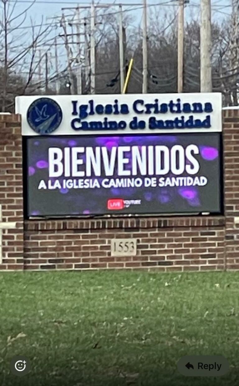 Galería Concilio CCS
